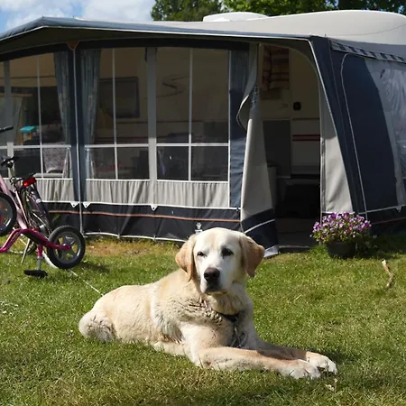 אתר קמפינג Vesterlyng And