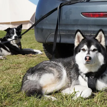 Vesterlyng And * פולנסלב