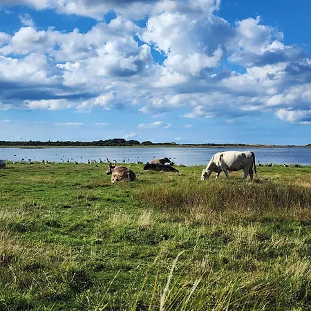 Vesterlyng And אתר קמפינג *